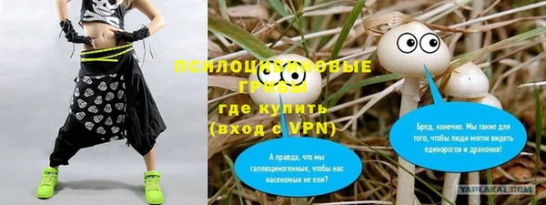 спайс Абаза
