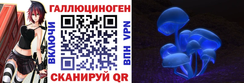 Галлюциногенные грибы Psilocybine cubensis  Азов 